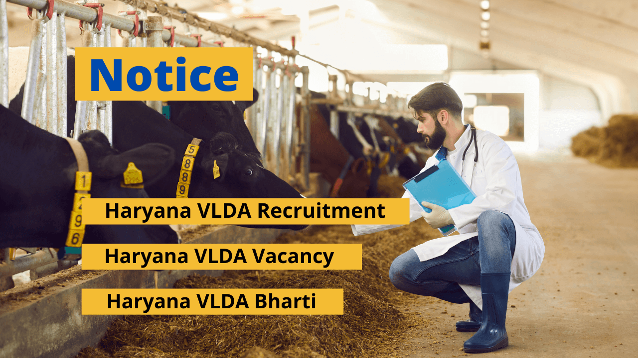 Haryana VLDA Recruitment
