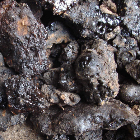shilajit price in jordan